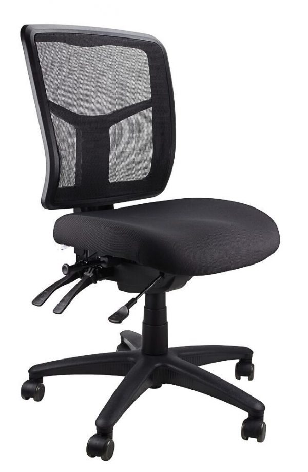 Mesh Mirae Ergonomic Chair